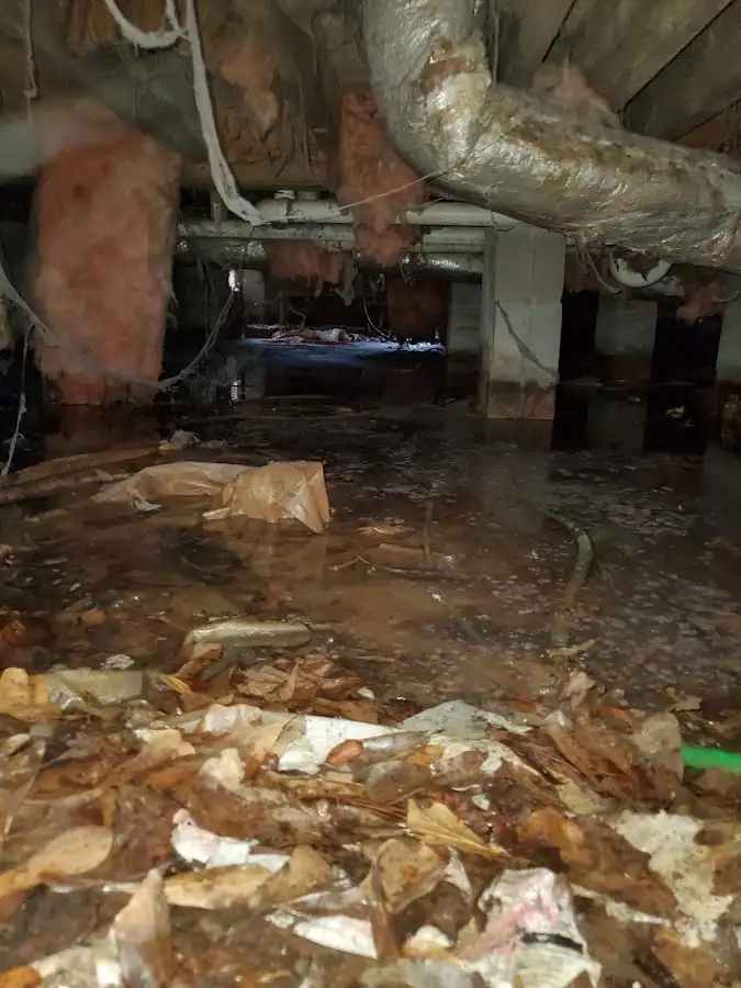 Crawl space flood assessment for Commercial Water Damage Restoration in Sheffield